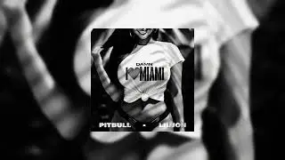 Damn I love Miami - Pitbull & Lil John (Slowed + Reverb) 