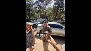 Talking to the Dog⁉️ #freewill #funny #prank #fyp #funnyvideo