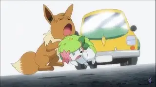 Shaymin Saves Eevee From Being Hit By a Car Pok&eacute;mon Sun and Moon Episode 117 English Dub Clip