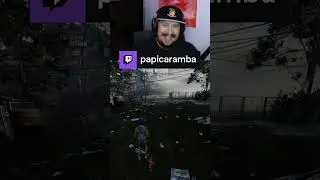 zegtu hoitaa :D | papicaramba: #Twitch #Dixper