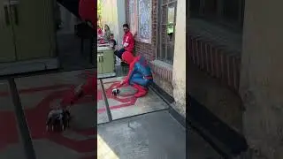 Avengers Campus Spider-Man plays with a Spider-Bot - Disney California Adventure 5/26/24
