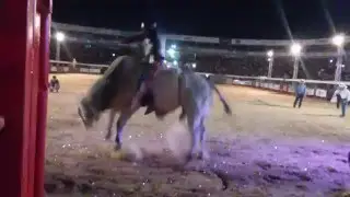 Rodeio em touros/Juara-MT/Fundo dos bretes !