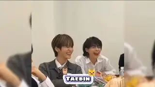 [tổng hợp tik tok] Taebin 🦉🐱 #1 | Yulyniz🌻