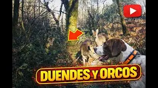 De duendes y orcos en los bosques gallegos