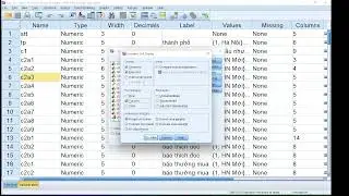 Phân tích dữ liệu - kiểm định mối liên hệ 2 biến định tính trên SPSS