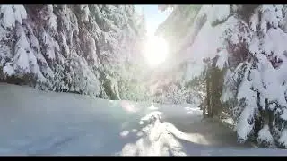 alpage heidi