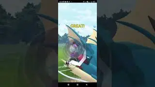 PRIMAL GROUDON VS MEGA GYARADOS