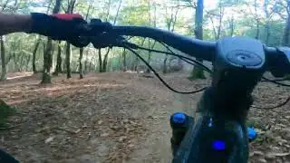 Lisca 1 Ebike