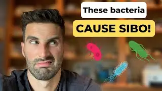 The 2 bacteria that cause SIBO | How food poisoning causes SIBO