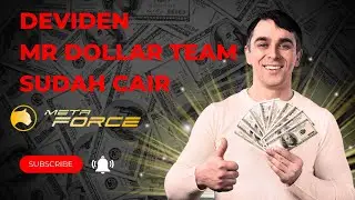 deviden Meta FORCE Mr Dollar TEAM payout payment || Mr Dollar TEAM berbagi deviden team