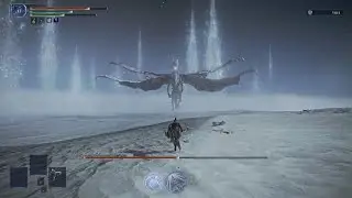 Caligo bare fist only