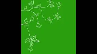 plant grow animation green screen #greenscreen #animation #freeclipsforedits