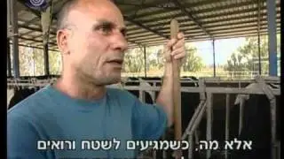 הכפר הירוק בתוכנית שום, פלפל ושמן זית