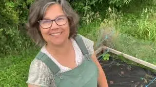 Обновление Seedsheet Garden 2023, день 29