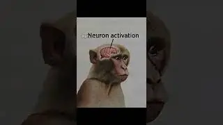 Neuron Activation #memes #shortvideo #jobs #humor
