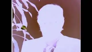 Is Bob Lazar Behind 