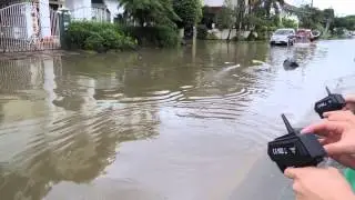 Magic cat mini racing boat