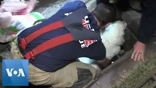 Oklahoma Firefighters Rescue Trapped Dog From Drain