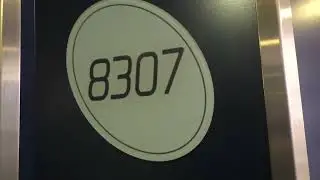 2 Berth Cabin 8307 Brittany Ferries MV Armorique 22nd September 2022