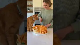 Orange Cat FAINTS After Seeing His Cake Twin! #cat #catlovers  #funnycats #fpy #aishorts #catcake