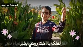 أحلى شعر | لعلك يا أخت روحي بخير| أداء عبد الرحمن محمد