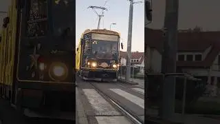 Miskolci Adventi Villamos #tram #christmas #hungary #miskolc #villamos #advent #spotting #retro #hun