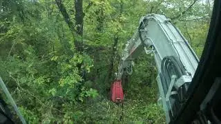 Forestry Mulching Pond Banks in Glencoe, Kentucky