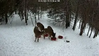 Dinner Time 1-26-2026 4 PM