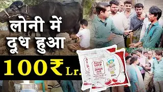लोनी में दूध हुआ १०० ₹ लीटर ? Up flood, delhi flood today / delhi flood news , delhi flood vlog