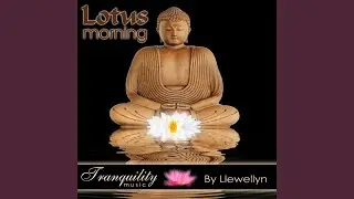 Lotus Morning
