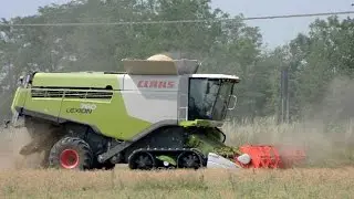 Claas Lexion 760 TerraTrac mietitura pisello proteico / protein pea harvest 06/06/2015