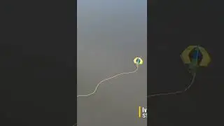 Ukrainian fisherman with little monsters Chasing Dory Ukrainian drone