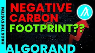 HOW Can Blockchain Become Carbon-Neutral?? 😍💯  | +ALGO Update