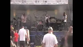 The Kyle Wallace Experience
