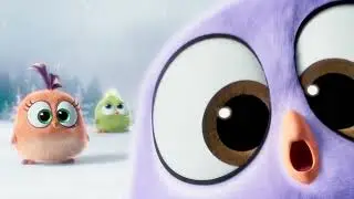 4k live wallpaper, cute wallpaper angry bird 🐦 download 1080p wallpaper