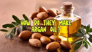 How Do They Make Argan Oil? The Process Behind Liquid Gold