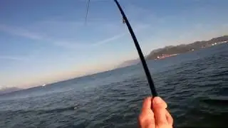 A few leerfish and some camera issues