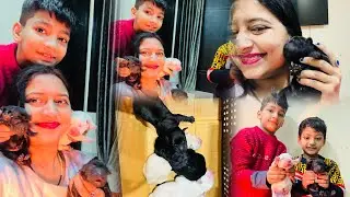 New member#cutepuppies #plzviralvideo #plz_subscribe_my_channel 