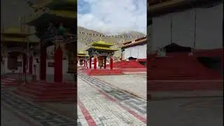 Nubra valley 💫❤️#diskitmonastery #ladhakh #viralvideo #travel