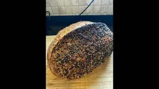 Fermentum