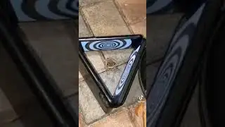 best way to hypnosis a frog real video