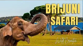 Brijuni Safari Park