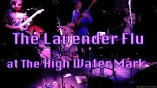 The Lavender Flu Live at The High Water Mark