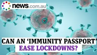Can an 'immunity passport' ease coronavirus lockdowns?