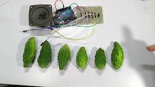 How to Make Piano with Bitter Gourd | Homemade Piano using karela