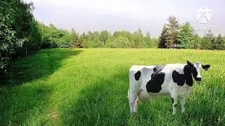 Pertti P&auml;risee Piim&auml;n Voimalla Osa I