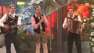 Die Mayrhofner & Die 4 Holterbuam - Tiroler Steirer Musimix (2009)