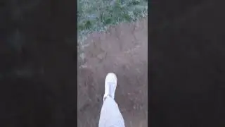 Walking on frozen grass ASMR