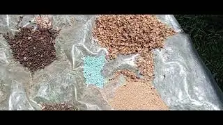 Abono  org&aacute;nico  para almacigo .