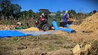 Smart Tech: Modernizing the Corn Grain Separation _FarmersLife _Shorts